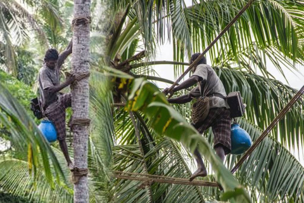 කංසා වලට දුන් තැන රා වලටත් ඉල්ලයි