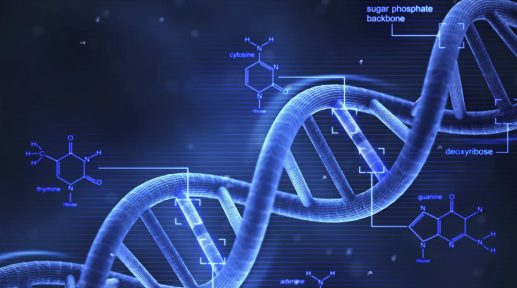 පුද්ගලයින් තිදෙනෙකුගේ DNA සහිත දරු උපතක්