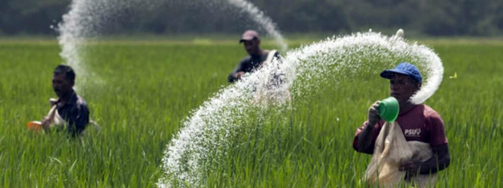 යූරියා මෙට්රික් ටොන් 20,000 ක නැවක් හෙට (10) දිවයිනට