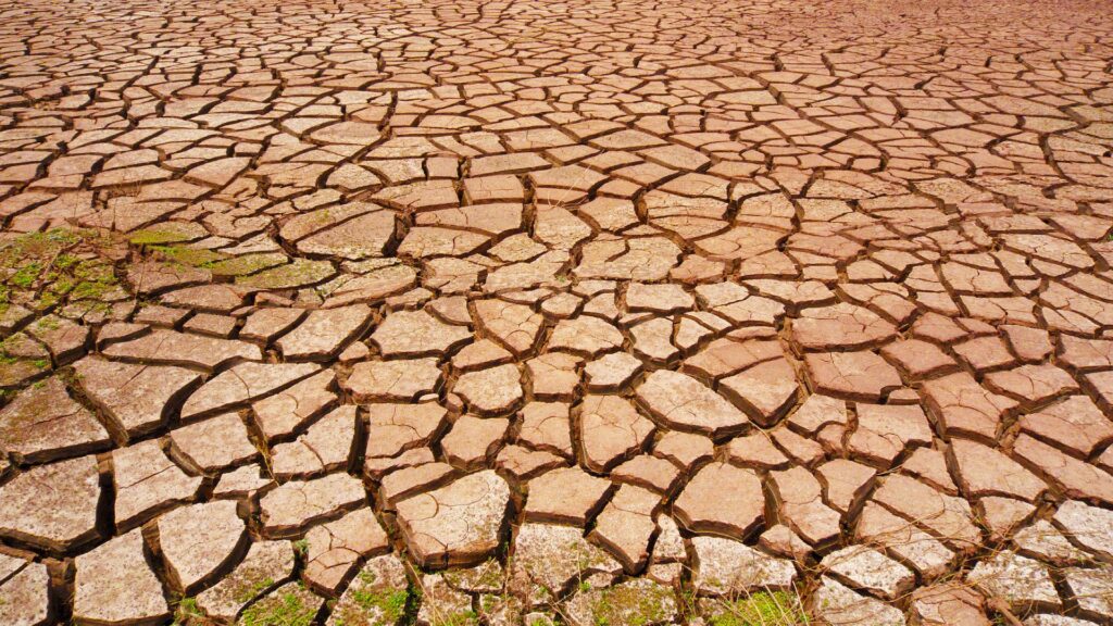 නියඟය හේතුවෙන් රට වටේම සිදුවූ මහ විනාශය