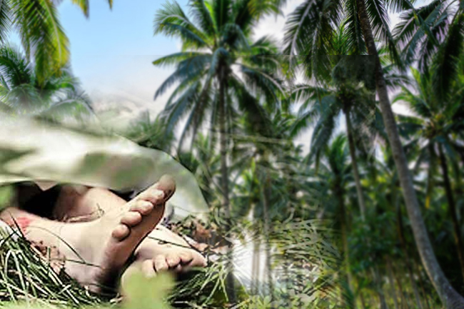 පොල් හොරාට වෙඩි – තුවාලකරු රෝහලට