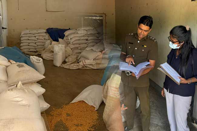 කෘමි හානි සහිත ධාන්ය ටොන් 04ක ගබඩාවක් වටලයි