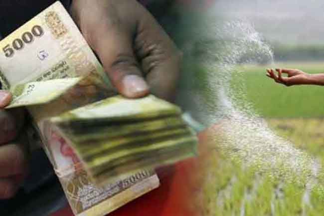 මහ කන්නය සඳහා පොහොර සහනාධාර වැඩසටහන ඇරඹෙයි