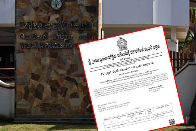 වැලිගම නව සභාපති තේරීමට දින දෙයි