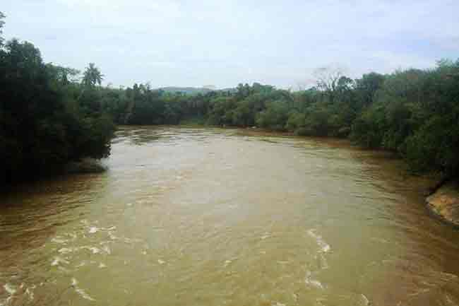 කැලණි ගඟේ ජල මට්ටම ක්රමයෙන් පහළට