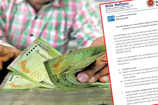 ආපදාවන්ට ලක්වූ පුද්ගලයන් සහ ව්යාපාර සඳහා ණය සහන