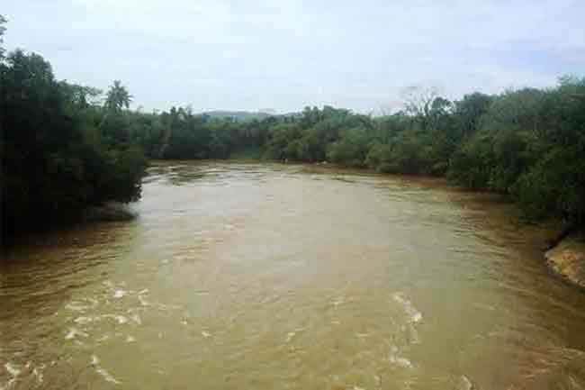 ජලාශවල ජල මට්ටම් ක්රමයෙන් පහළට