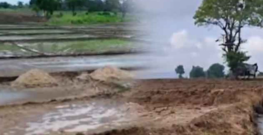 ආපදා හමුවේ ගොවිබිම් දහස් ගණනක් විනාශයි – ගොවින්ගෙන් බලධාරීන්ට චෝදනා