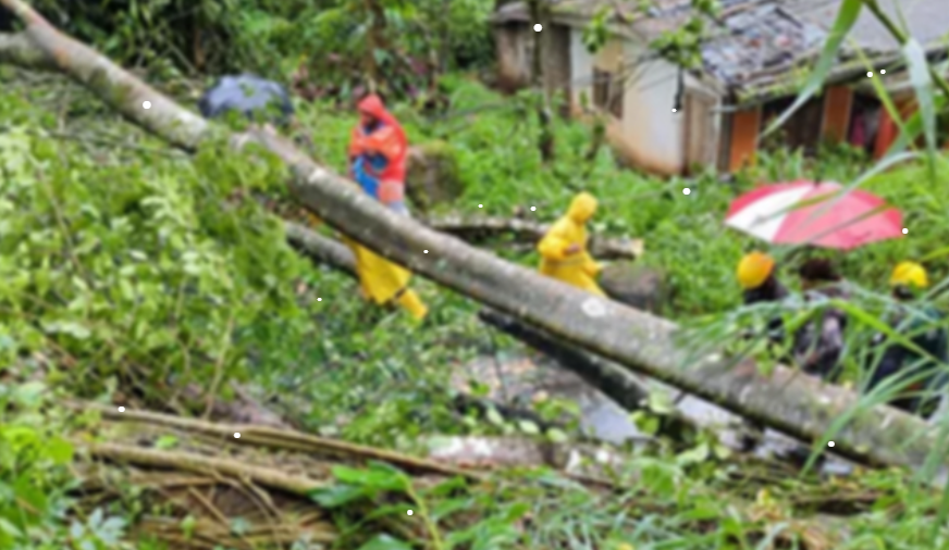 මිනුවන්ගොඩට තද සුළං