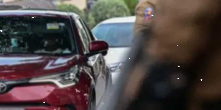 ටී 56 ගිනිඅවියක් හා පතොරොම් තොගයක් රාගමින් හමුවෙයි