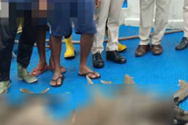 මෝර මසුන් තොගයක් සමඟ පුද්ගලයින් 7ක් කොටුවෙයි