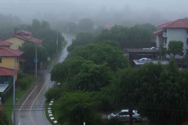 අද ප්රදේශ කිහිපයකට තද වැසි