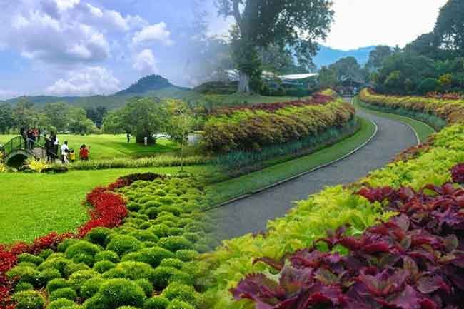 පසුගිය වසරේත් උද්භිද උද්යාන ආදායම රුපියල් බිලියනය ඉක්මවයි