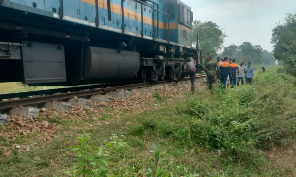 දුම්රියේ ගැටී වනඅලියෙකු මරුට – දුම්රියත් පීලි පනී