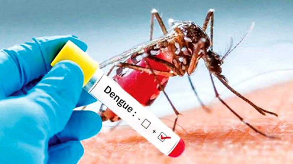 ඩෙංගු රෝගීන්ගේ ශීඝ්ර වැඩිවීමක් – මරණ 15ක්
